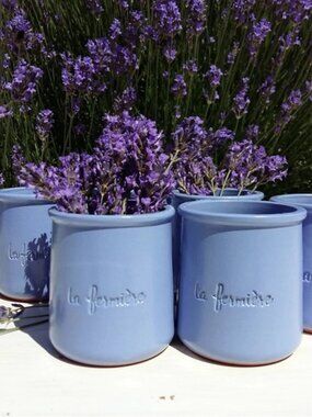 La Fermière French Glazed Terracotta Mini Pots - set of 10